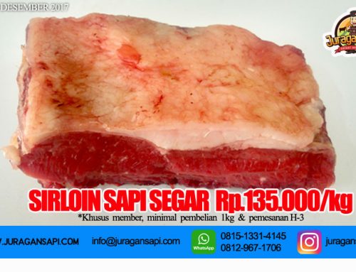 Promo Jual Daging Sapi Sirloin Steak Murah 2018